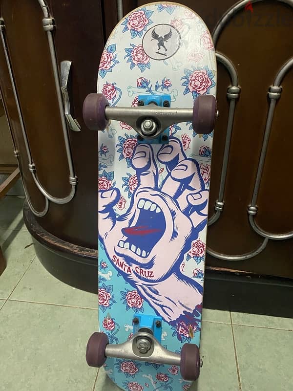 Santa Cruz Skateboard 2