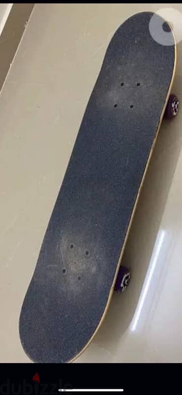 Santa Cruz Skateboard 3