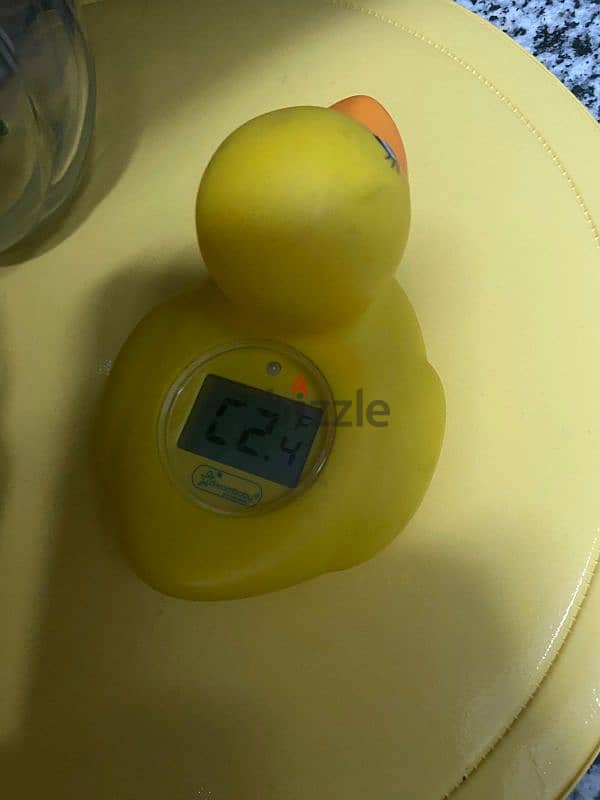 Baby Thermometer 2