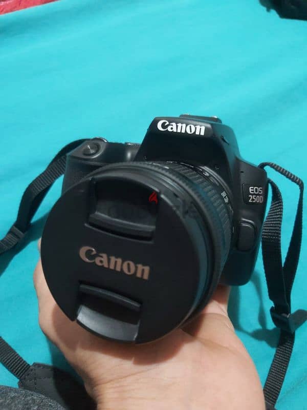 canon 250d 2