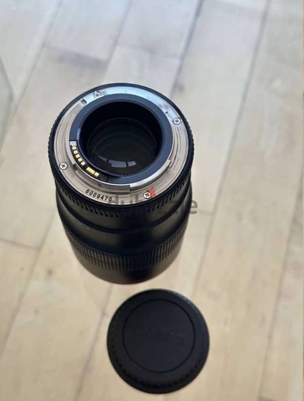 macro lens 100mm عدسة كانون ماكرو 4