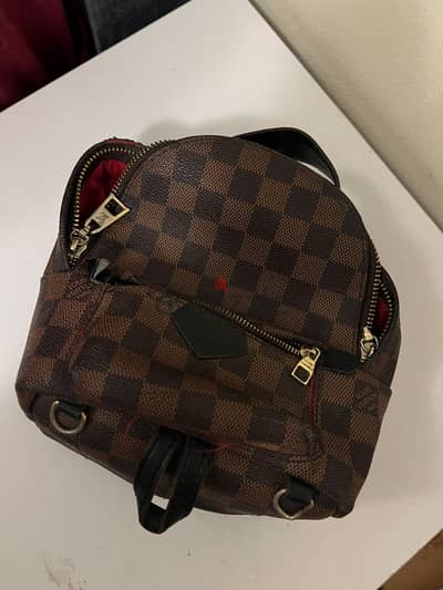 Louis Vuitton Palm Springs Mini