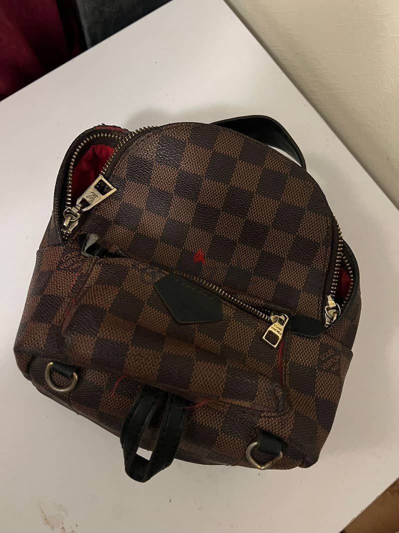 Louis Vuitton Palm Springs Mini 0