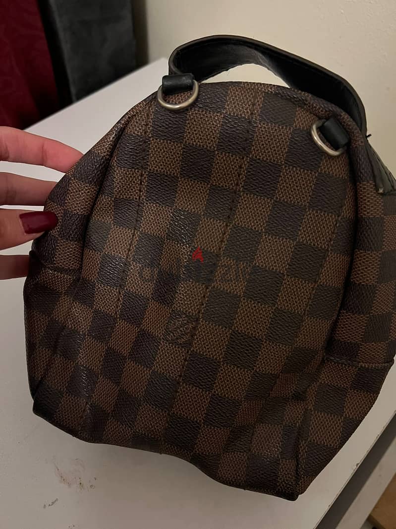 Louis Vuitton Palm Springs Mini 1