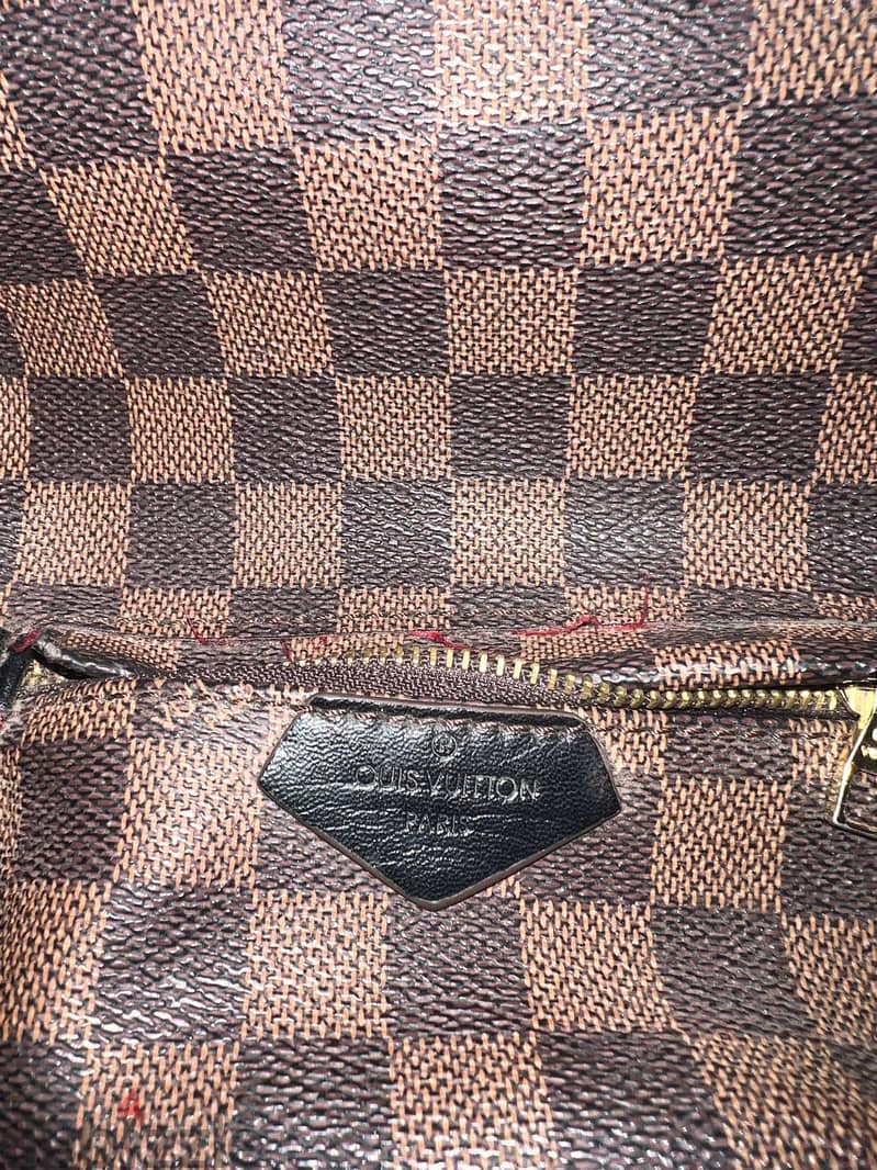 Louis Vuitton Palm Springs Mini 2