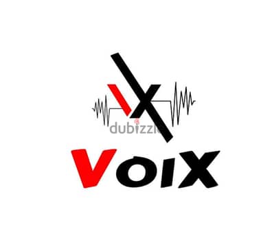 voix v11 used