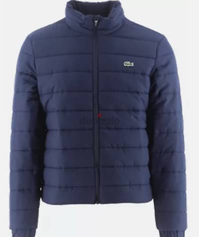 Lacoste hooded padded Jacket