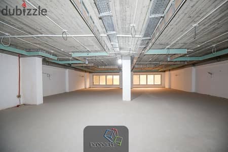 Office for Rent in Smouha - Private Entrance