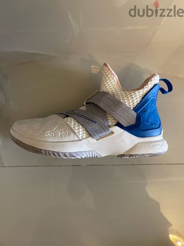 Nike LeBron sneakers (new - tried on once, never worn). 1