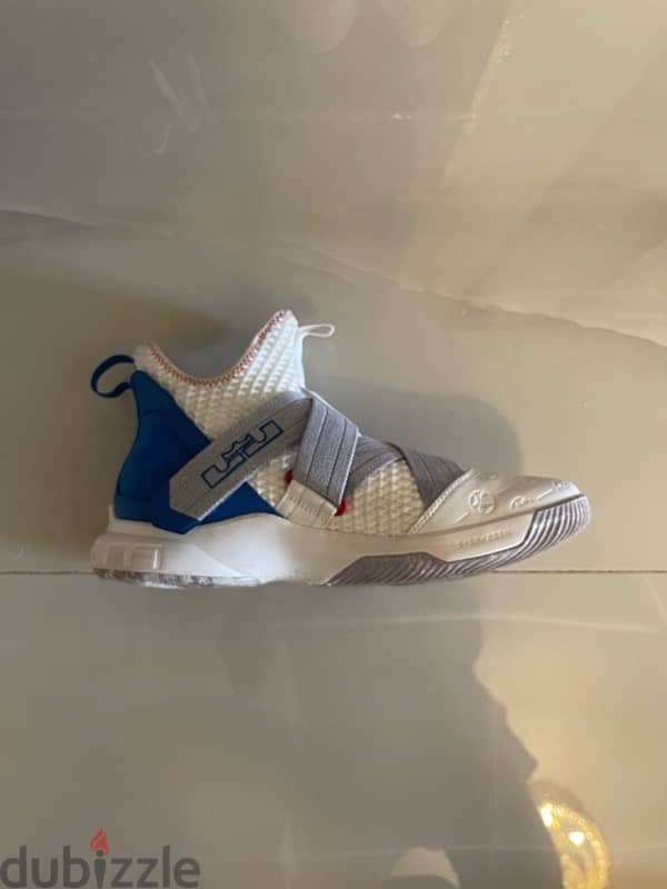 Nike LeBron sneakers (new - tried on once, never worn). 3