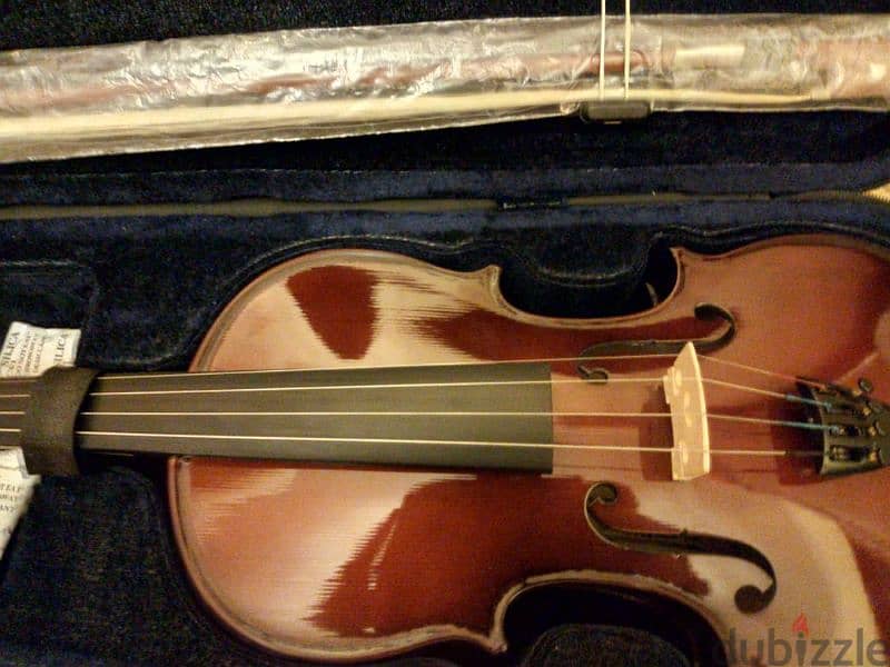 violin Fitness size 1/2 2