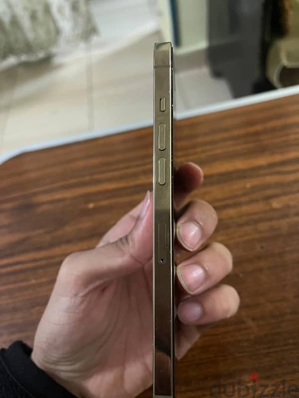 iPhone 12 Pro Max good condition without box 3