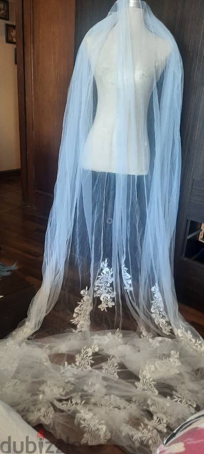 Wedding dress and veil