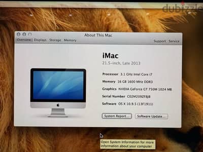 iMac 21.5 late 2013