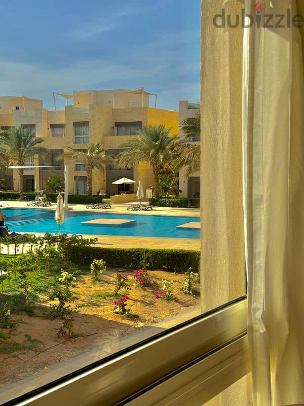 شالية غرفة للايجار فى منجروفى الجونة for rent 1BR in mangroovy elgouna 0