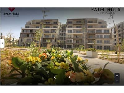 studio for sale at palm hills cleo