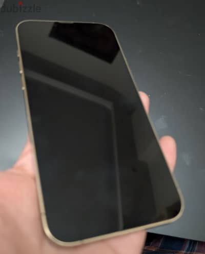 IPhone 13 Pro Max 256gb Gold