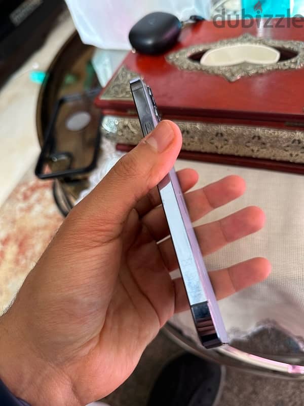 iPhone 13 Pro Max 256gb خطين 2