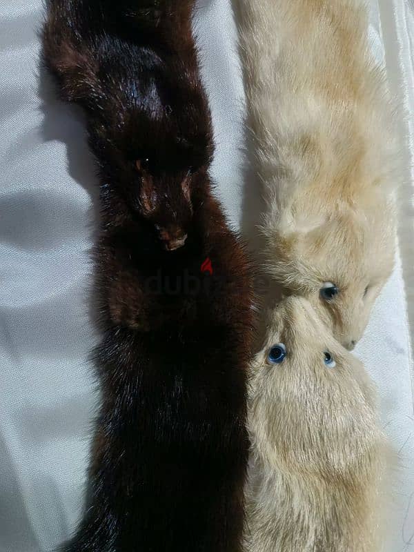 mink fur 1