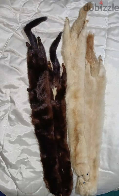 mink fur 4