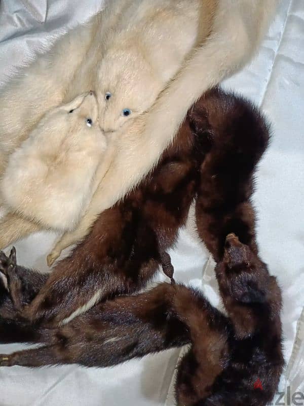 mink fur 5