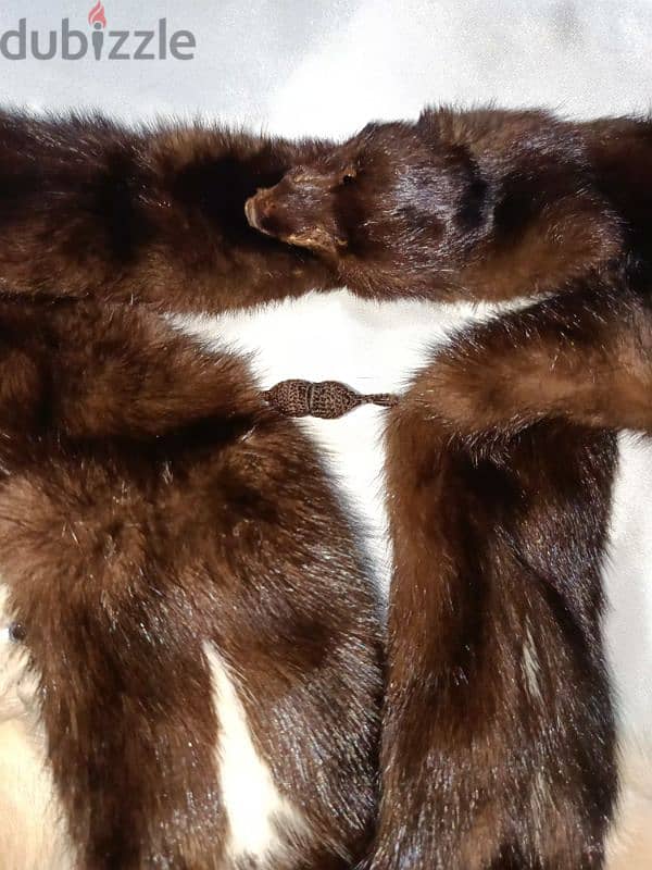 mink fur 6