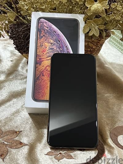 iPhone XS Max 256gb 88%