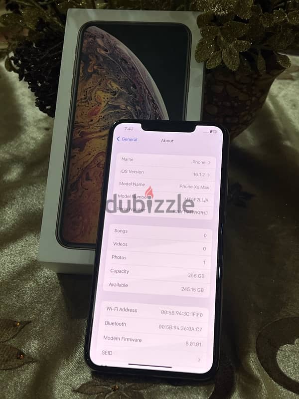 iPhone XS Max 256gb 88% 2