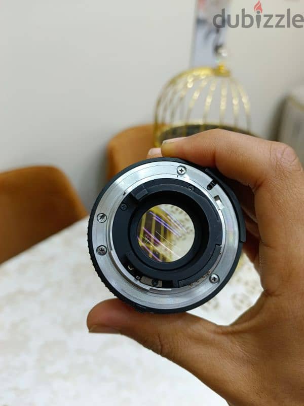 50 mm Nikon 1.8  نيكون ٥٠ مم عدسة 1