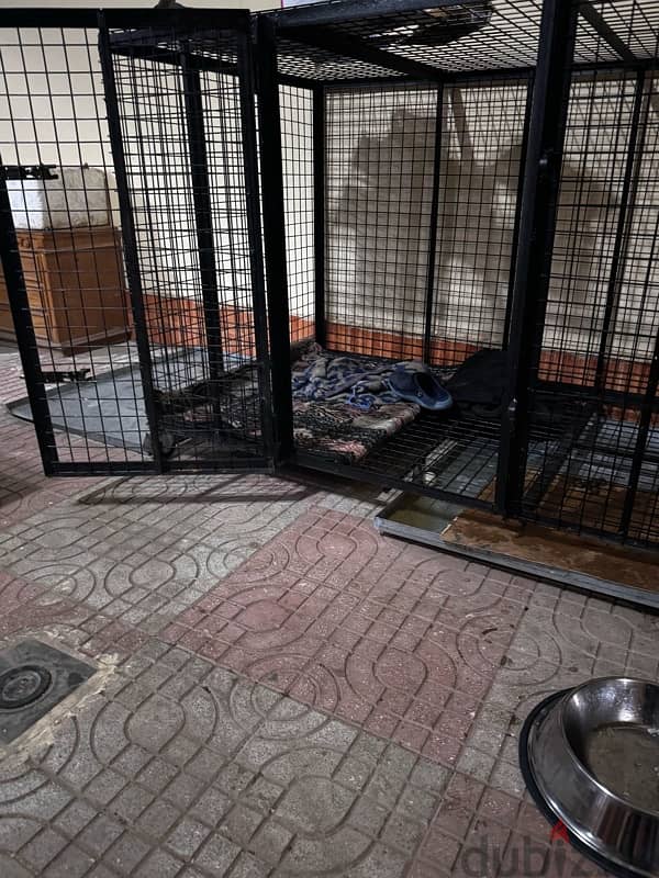 pets cage 1