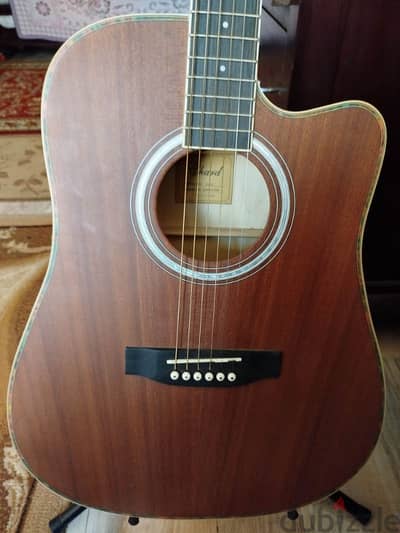 Acoustic/Electric guitar