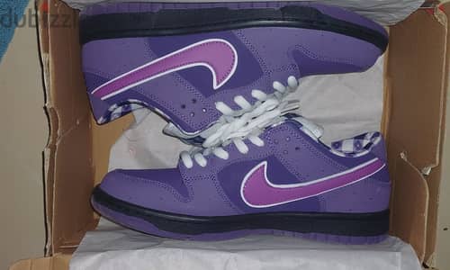 Nike SB Lobster Purple