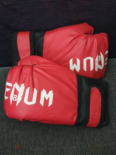 Venum boxing/kickboxing/Muay Thai gloves. جلافز فينوم ملاكمه، بوكس