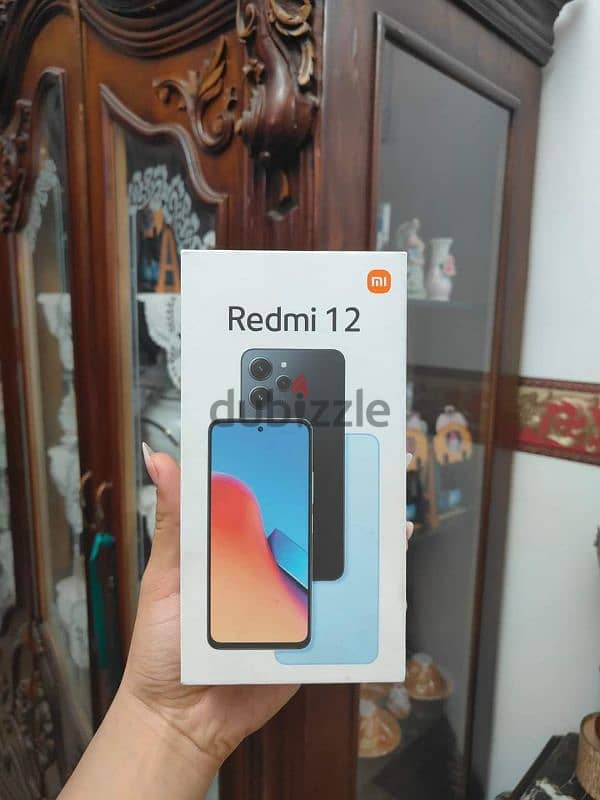 redme 12 1