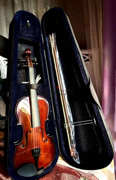 Fitness professional violin with all accessories case , bow and rosin