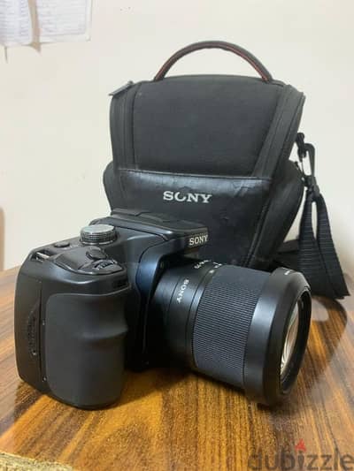 sony a100