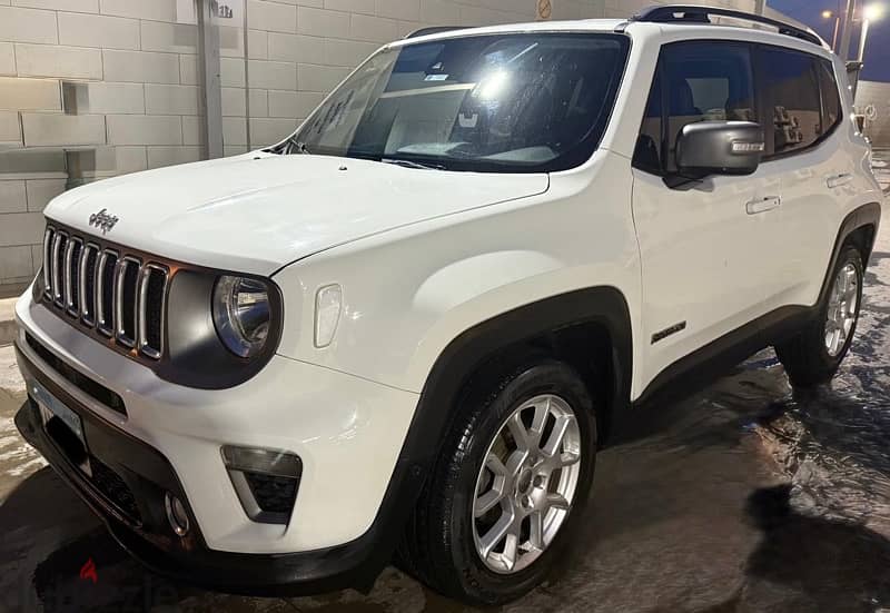 Jeep Renegade 2019 0