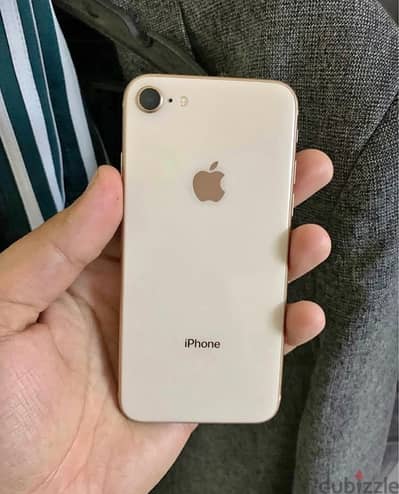 iPhone 8 (256 GB)