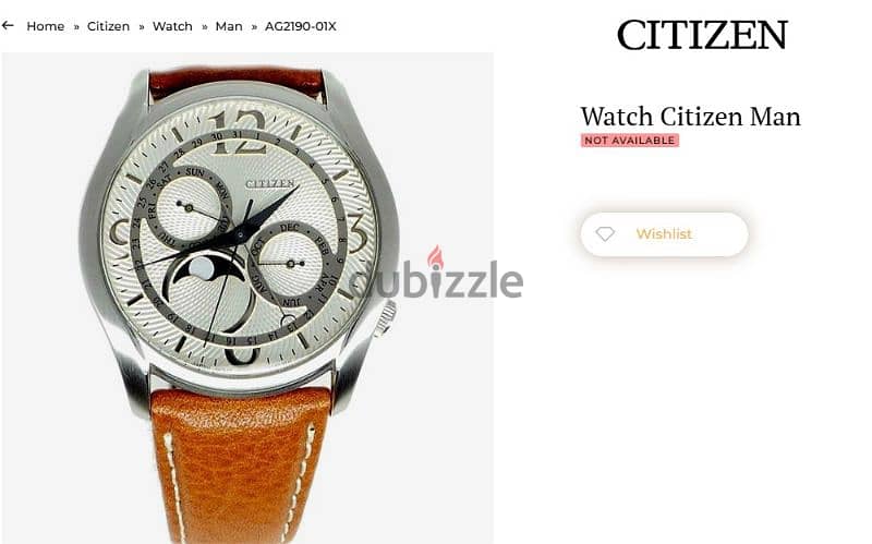 Citizen moon phase watch 6