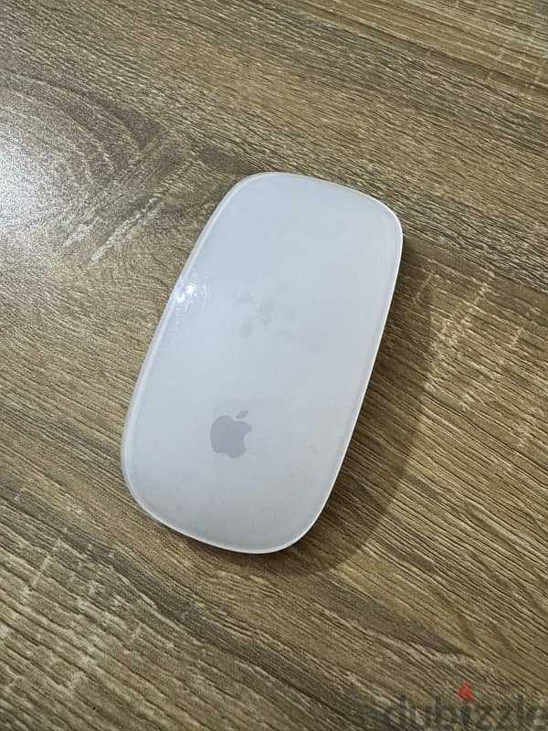 Apple Magic Mouse 2 0