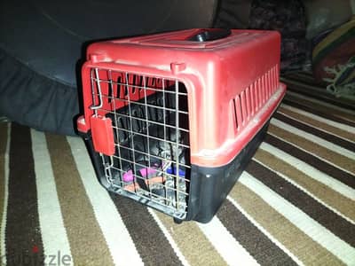 pet carrier