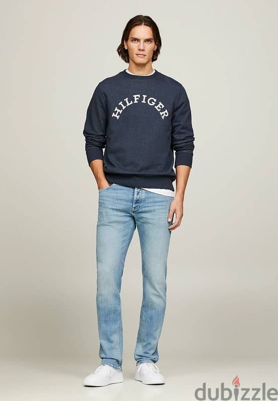 Tommy Hilfiger Arched monotype logo 1