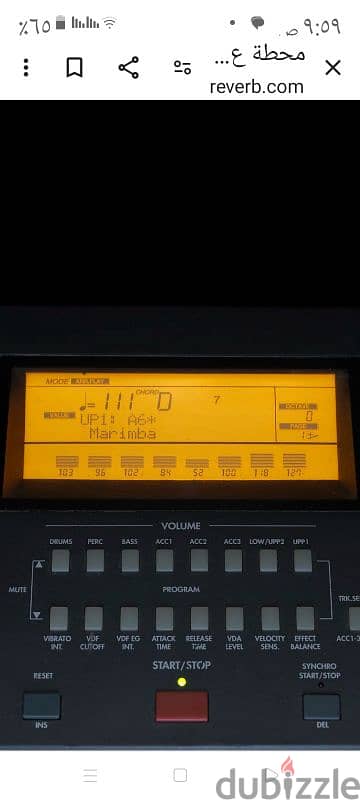 korg is50B الاتصال رجال فقط 2