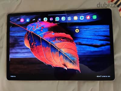 Samsung TAB S9 PLUS 12GB RAM 256GB storage. . Emirates version as new.