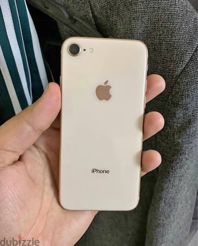 iPhone 8 (256 GB)