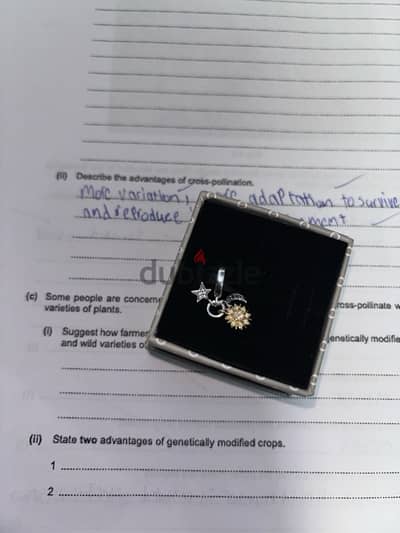 Original Pandora charm