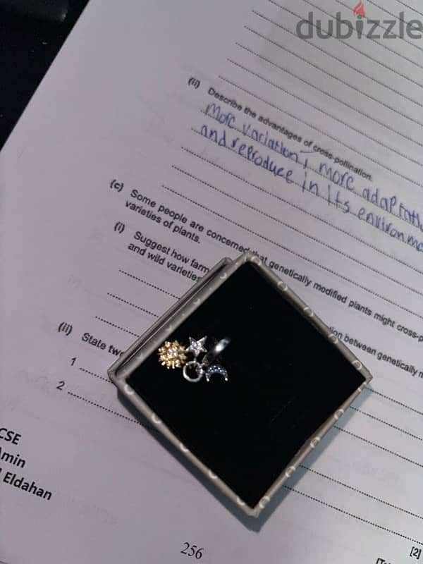 Original Pandora charm 8