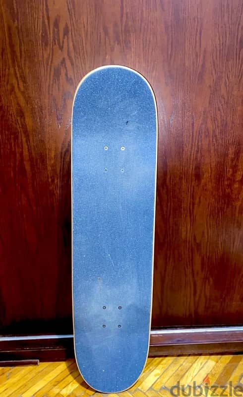 skateboard 1