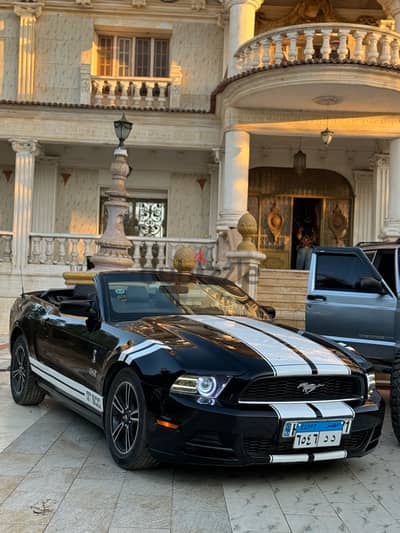 Mustang for rent in Egypt