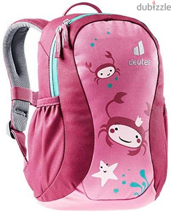 Deuter back pack 0